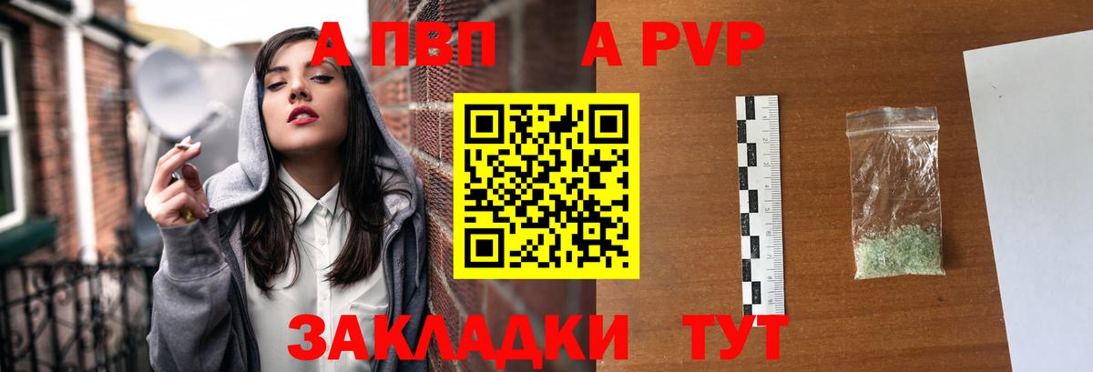 A PVP СК Печора