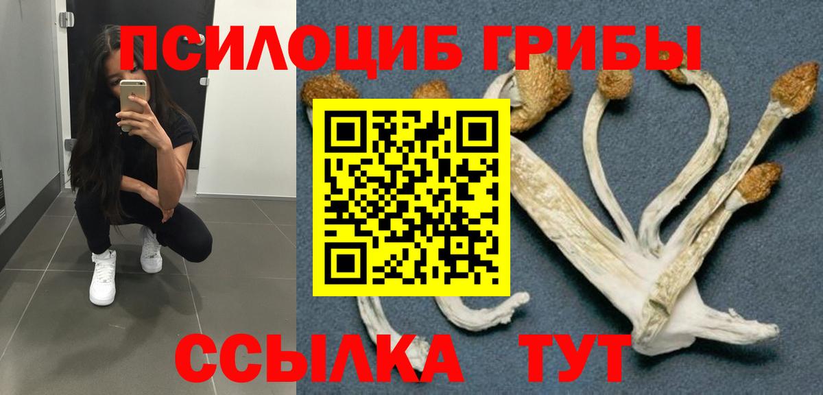 Псилоцибиновые грибы мухоморы Печора